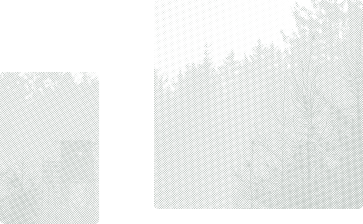 background-image