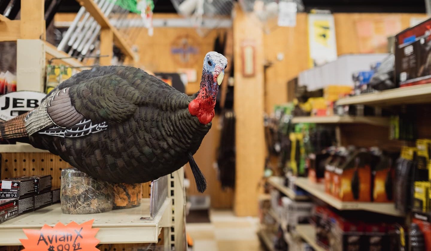 Realistic Avian-X turkey decoy displayed on a store shelf at Anderson’s General Store, surrounded by hunting gear and outdoor supplies for turkey season.